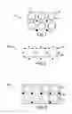 Fig. 02 - Additive manufacturing of functionally gradient degradable tools