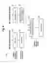 Fig. 05 - Systems and methods for providing weld quality confidence