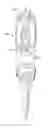 Fig. 01 - SCREWDRIVER CAPABLE OF ACCOMMODATING SCREW BITS