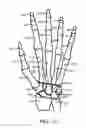Fig. 09 - Anatomical robot