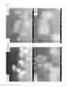 Fig. 02 - Fiber-reinforced resin composition