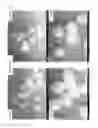 Fig. 03 - Fiber-reinforced resin composition