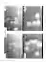 Fig. 04 - Fiber-reinforced resin composition