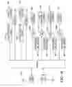 Fig. 08 - Tire carcass ply joining apparatus and method