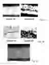 Fig. 04 - Composite products of paper and cellulose nanofibrils and process of making