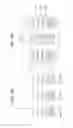 Fig. 06 - Liquid ejecting apparatus and transport amount adjusting method