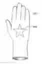 Fig. 01 - SYSTEM AND METHOD FOR LABELING GLOVES