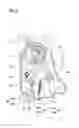 Fig. 03 - Walk-in seat