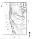 Fig. 11 - Illuminated latch system