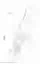 Fig. 06 - Polymeric shock absorbing element for a vehicle and longitudinal side member