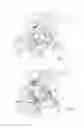 Fig. 02 - Collapsible pushchair frame or doll's pushchair frame