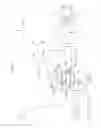 Fig. 03 - Vehicle body front portion structure
