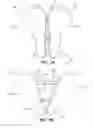 Fig. 04 - Adjustable saddle