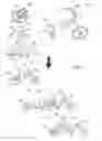 Fig. 08 - Electric cycle