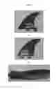 Fig. 10 - Adjustable fin system