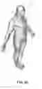 Fig. 14 - Inflatable personal bodywear flotation device
