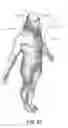 Fig. 15 - Inflatable personal bodywear flotation device