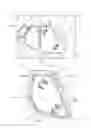 Fig. 02 - SHUTTER CAPABLE OF OBSCURING LIGHT