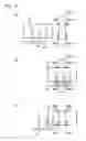 Fig. 11 - Paper sheet bundling apparatus