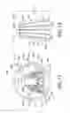 Fig. 12 - Pouring Spout and Package Including the Same
