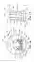 Fig. 14 - Pouring Spout and Package Including the Same
