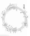 Fig. 09 - Vacuum release seal for a closure and container package