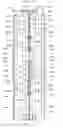 Fig. 19 - Container raising/lowering conveyance apparatus