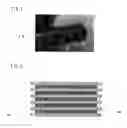 Fig. 02 - Graphite film and process for producing graphite film