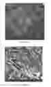 Fig. 12 - Compositions of matter including solid carbon formed by reducing carbon oxides