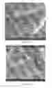 Fig. 14 - Compositions of matter including solid carbon formed by reducing carbon oxides