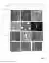 Fig. 12 - Shape-controlled cement hydrate synthesis and self-assembly