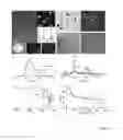 Fig. 14 - Shape-controlled cement hydrate synthesis and self-assembly