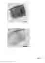 Fig. 15 - Shape-controlled cement hydrate synthesis and self-assembly