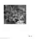 Fig. 18 - Shape-controlled cement hydrate synthesis and self-assembly