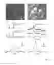 Fig. 20 - Shape-controlled cement hydrate synthesis and self-assembly