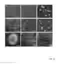 Fig. 21 - Shape-controlled cement hydrate synthesis and self-assembly