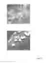 Fig. 23 - Shape-controlled cement hydrate synthesis and self-assembly