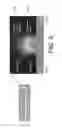 Fig. 05 - Glass article and method for forming the same