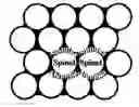Fig. 01 - Transparent nanocomposite ceramics built from core/shell nanoparticles