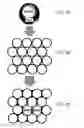Fig. 03 - Transparent nanocomposite ceramics built from core/shell nanoparticles