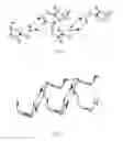 Fig. 02 - Crystal form III of (S)-oxiracetam, preparation method and use thereof