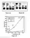 Fig. 06 - Suprametallogels and uses thereof
