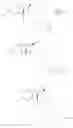 Fig. 133 - Benzomorphan analogs and use thereof