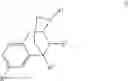 Fig. 22 - Benzomorphan analogs and use thereof