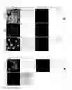 Fig. 06 - Enzyme-specific fluorescent compound capable of being retained in cells