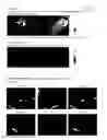 Fig. 08 - Enzyme-specific fluorescent compound capable of being retained in cells