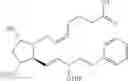 Fig. 100 - PROCESSES AND INTERMEDIATES FOR THE PREPARATIONS OF ISOMER FREE PROSTAGLANDINS