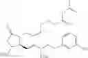 Fig. 63 - PROCESSES AND INTERMEDIATES FOR THE PREPARATIONS OF ISOMER FREE PROSTAGLANDINS