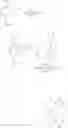 Fig. 1012 - Heteroaryls and uses thereof