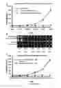 Fig. 10 - Multivalent ligands targeting VEGFR